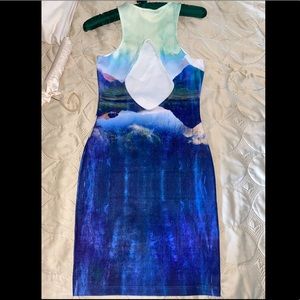 Beyoncé Landscape bodycon H&M dress